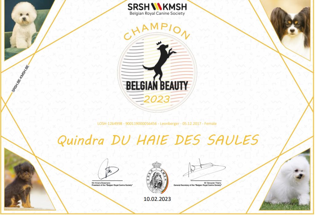 Quindra du haie des saules championne de Belgique