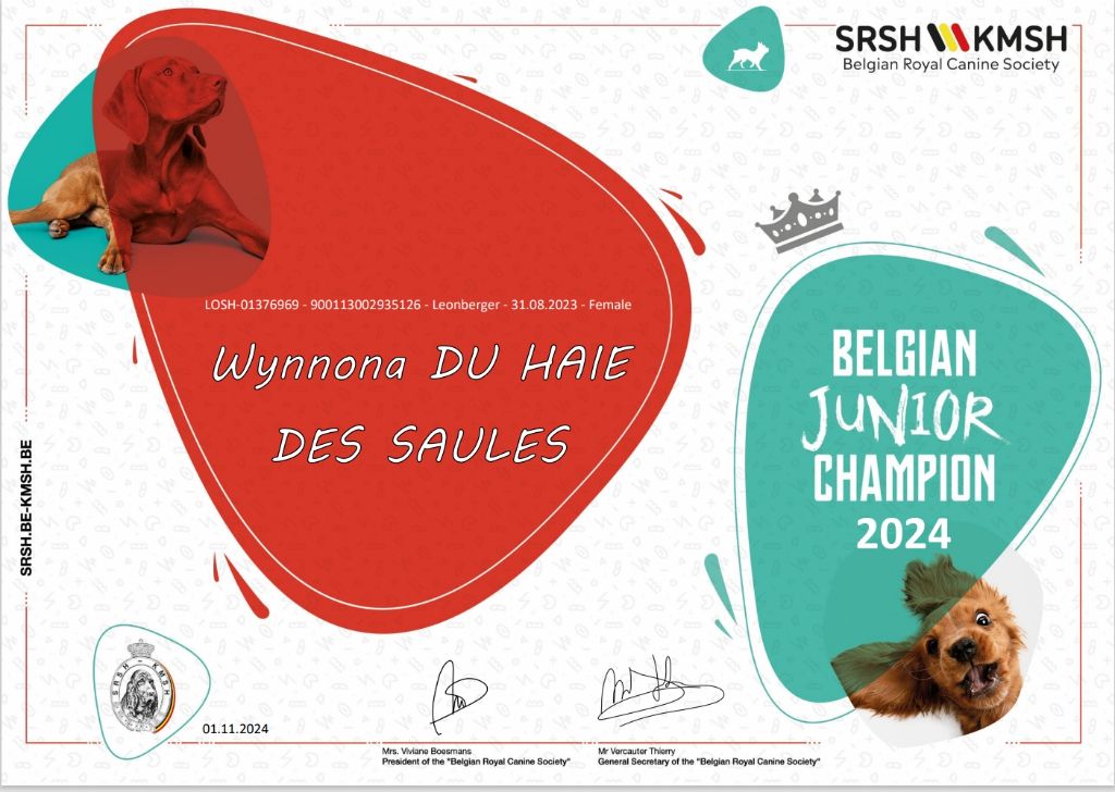 Wynnona jeune championne de belgique 