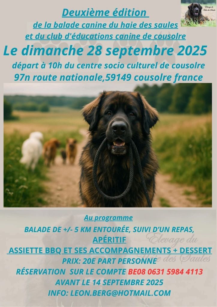 Du Haie Des Saules - Balade canine 